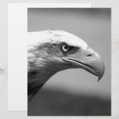 Black & White Eagle Eye (Front/Back)