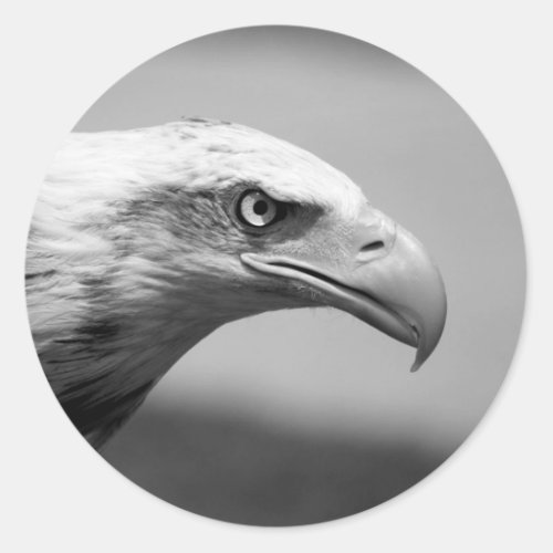 Black  White Eagle Eye Classic Round Sticker