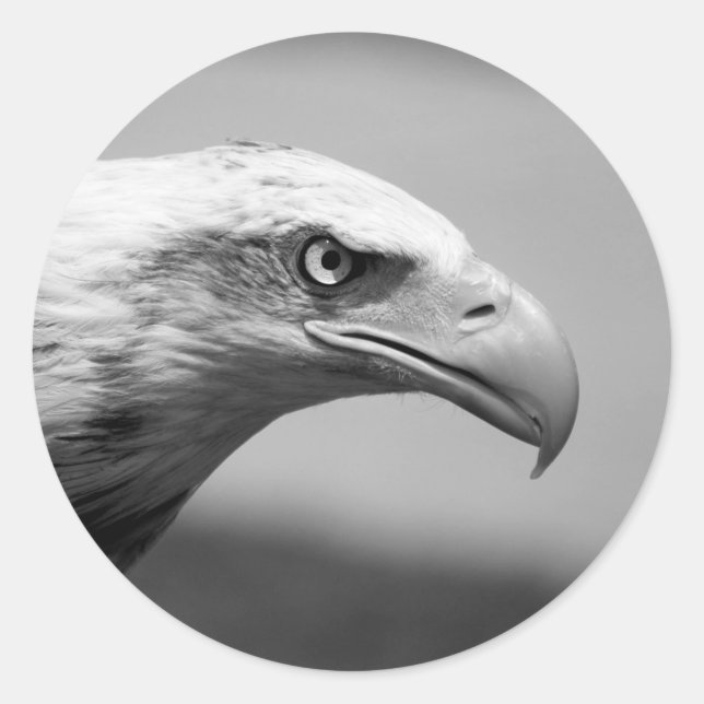 Black & White Eagle Eye Classic Round Sticker (Front)