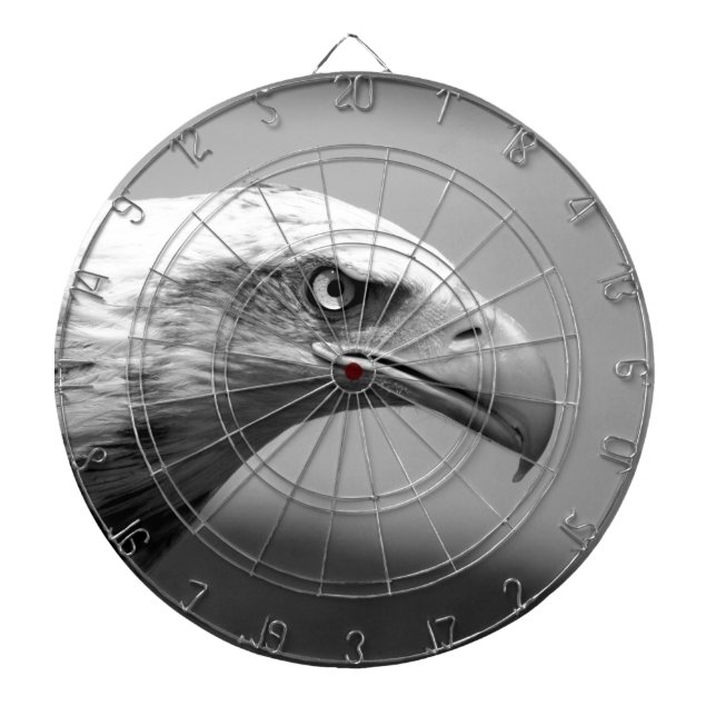 Black & White Eagle Eye Dartboard With Darts (Front)