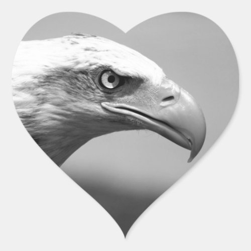 Black  White Eagle Eye Heart Sticker