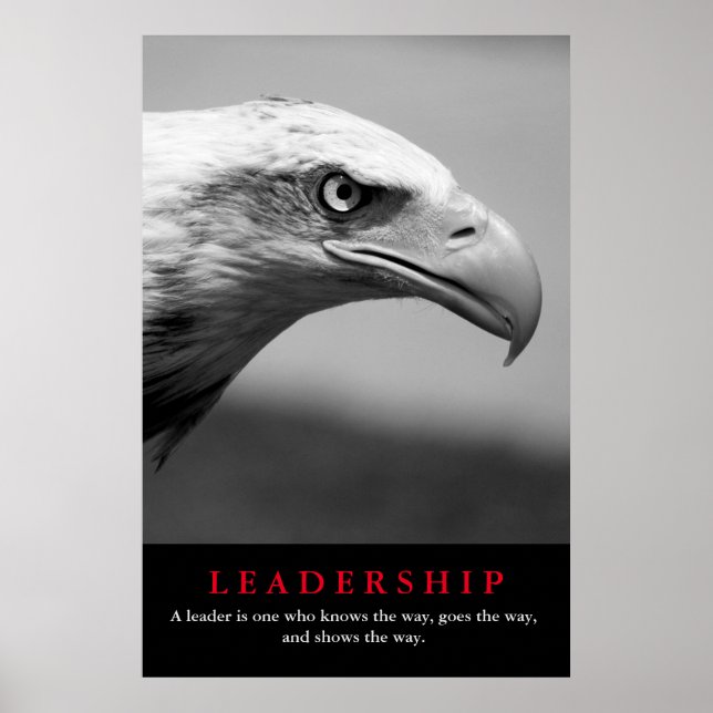 Black & White Eagle Eye Leadership Motivational Poster (Front)