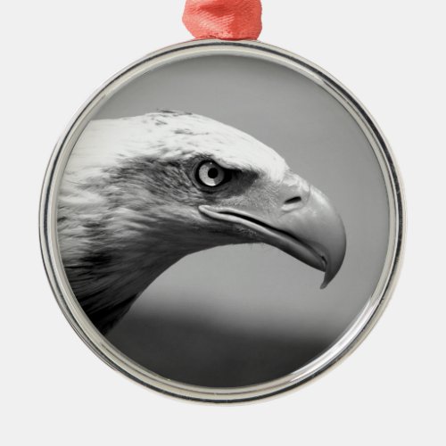 Black  White Eagle Eye Metal Ornament