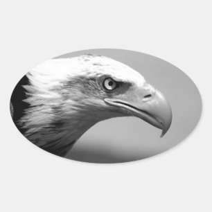 Black & White Eagle Eye Oval Sticker