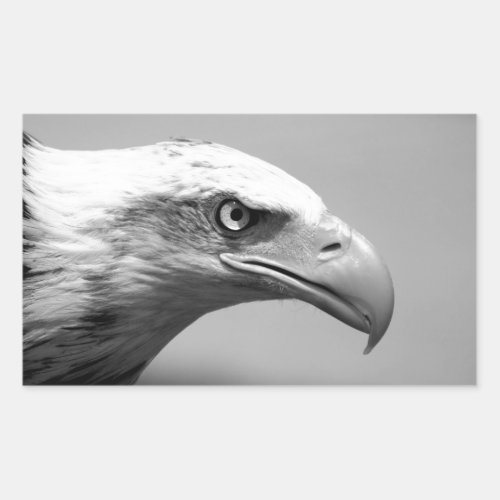 Black  White Eagle Eye Rectangular Sticker