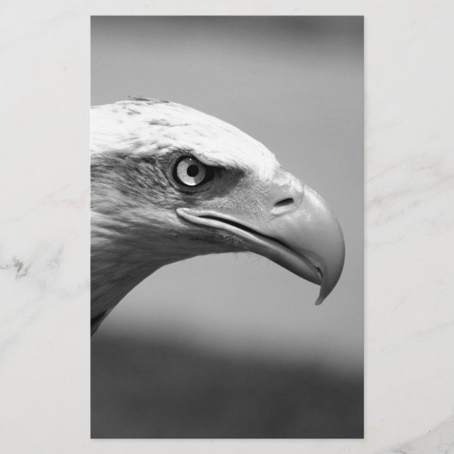Black & White Eagle Eye Stationery (Front)