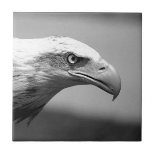 Black  White Eagle Eye Tile