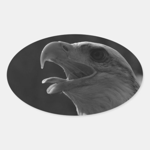 Black  White Eagle Oval Sticker