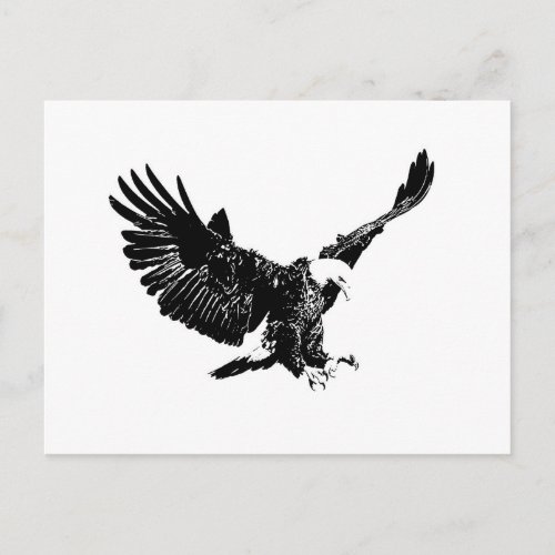 Black  White Eagle Postcard