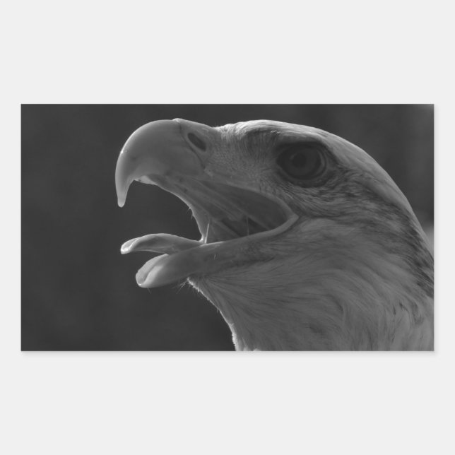 Black & White Eagle Rectangular Sticker (Front)