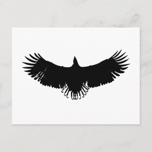 Black  White Eagle Silhouette Postcard