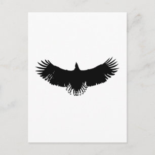 Black & White Eagle Silhouette Postcard