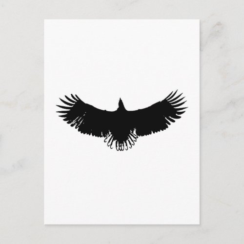 Black  White Eagle Silhouette Postcard