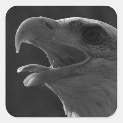 Black  White Eagle Square Sticker