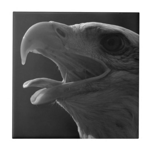 Black  White Eagle Tile