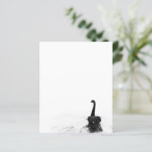 Black & White Elegant Black Swan (Standing Front)
