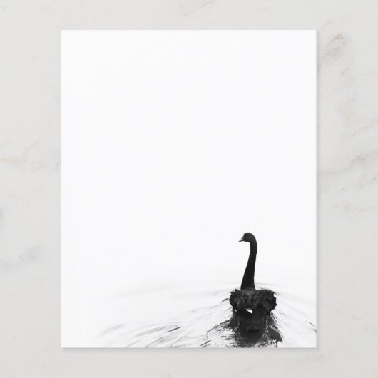 Black & White Elegant Black Swan (Front)