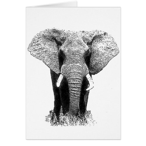 Black  White Elephant