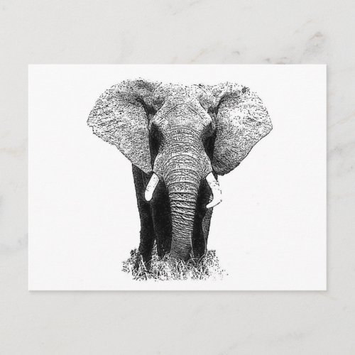 Black  White Elephant Postcard