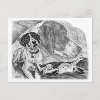 Black & White English Pointer Dogs Postcard by KelliSwan at Zazzle
