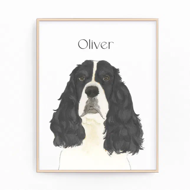 Black & White English Springer Spaniel Art Photo Print | Zazzle