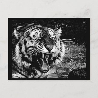 BLACK WHITE FEROCIOUS TIGER ROARING WILD ANIMALS C POSTCARD