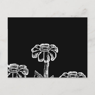 Black & White Flower Sketch Postcard