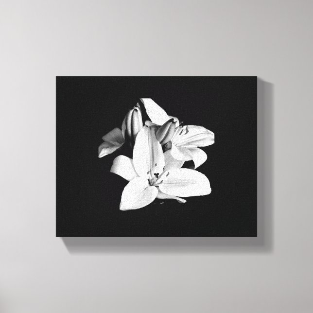 Black & White Flower Stretched Canvas Print (Front)