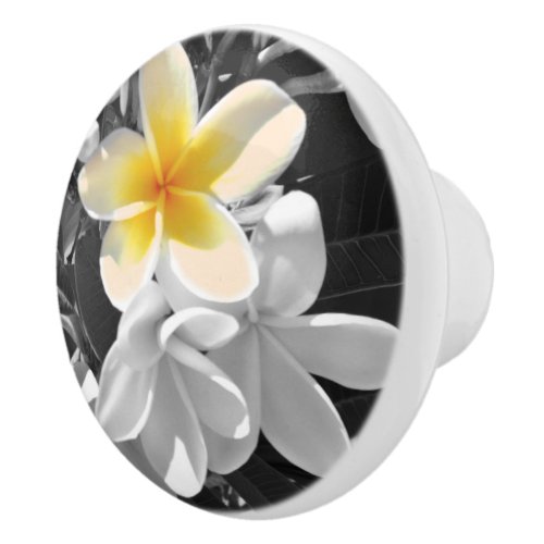 Black White Frangipanis With One Yellow Frangipani Ceramic Knob