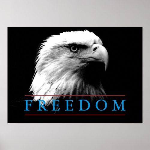 Black White Freedom American Eagle Poster