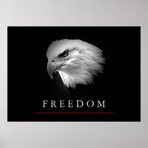 Black White Freedom Eagle Face Poster