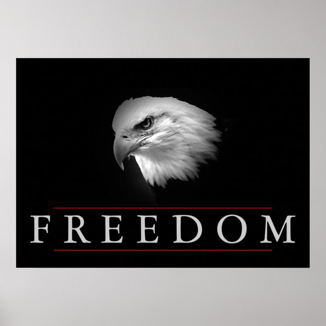 Black White Freedom Fearless Eagle Poster (Front)