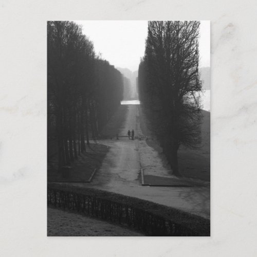 Black  White Gardens of Versailles Postcard