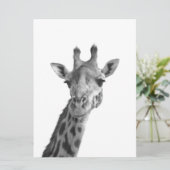 Black & White Giraffe (Standing Front)