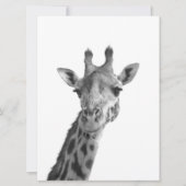 Black & White Giraffe (Front)