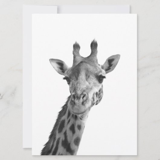 Black & White Giraffe (Front)