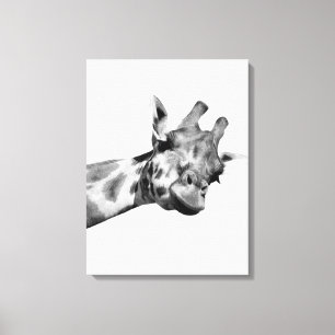 Black white giraffe african animal peekaboo photo canvas print