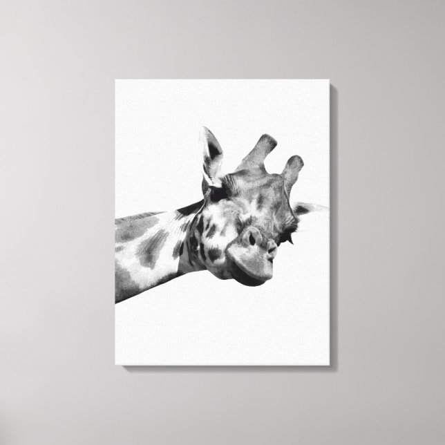 Black white giraffe african animal peekaboo photo canvas print (Front)