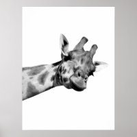 Safari Zebra Peek-A-Boo Gallery Wrapped Canvas