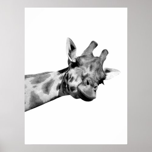 Black white giraffe african animal peekaboo photo poster