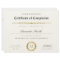 Black White Gold Certificate of Completion Award