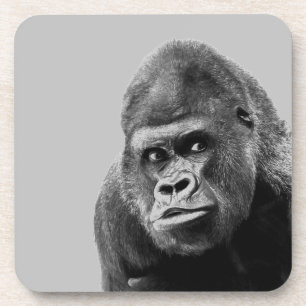 Black White Gorilla Beverage Coaster