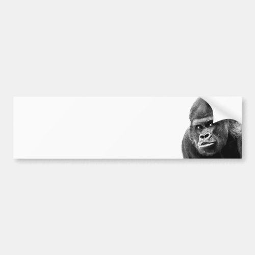 Black White Gorilla Bumper Sticker