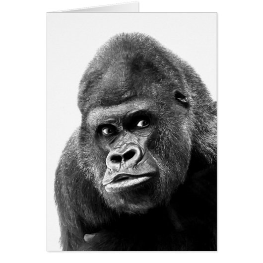 Black White Gorilla Cards (Front)