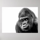 Black White Gorilla Poster<br><div class="desc">Digital Computer Animal Art - College Pop Art - Wild Animal Computer Images</div>