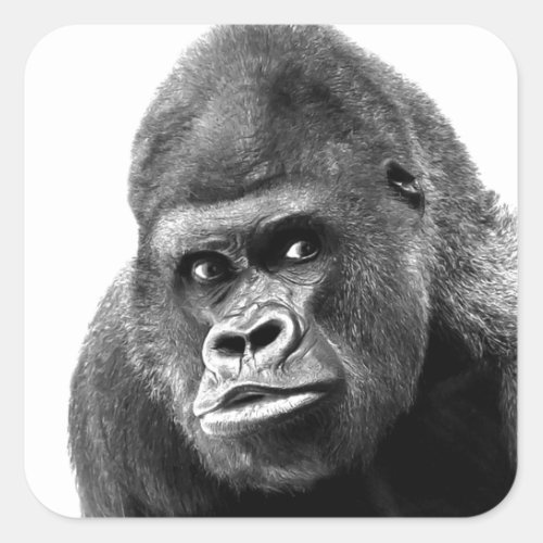 Black White Gorilla Square Sticker