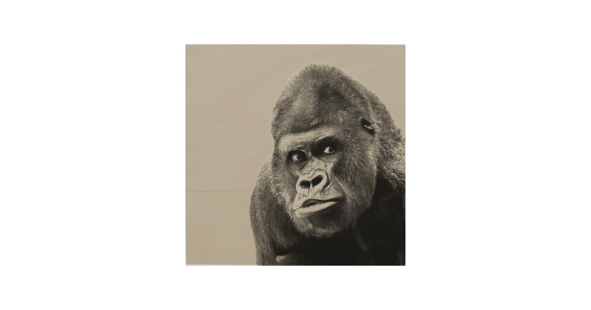 Gorilla Gift Box, Zazzle