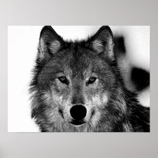 Moonlight Wolf Posters | Zazzle