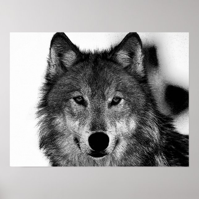 Black & White Grey Wolf Artwork Poster (Front)