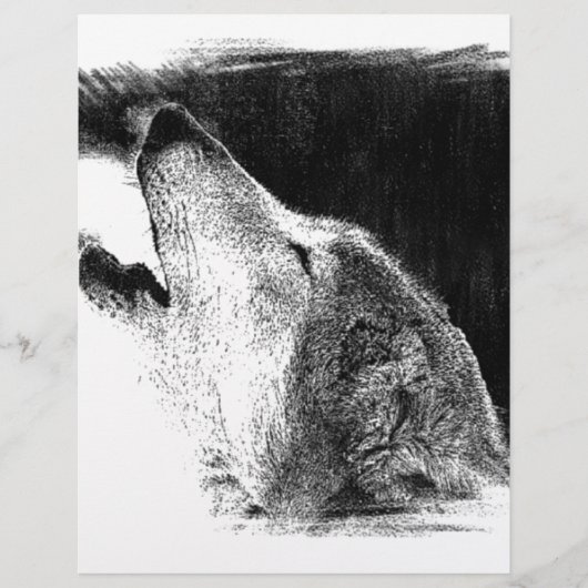 Black & White Grey Wolf Sketch Artwork (Front)